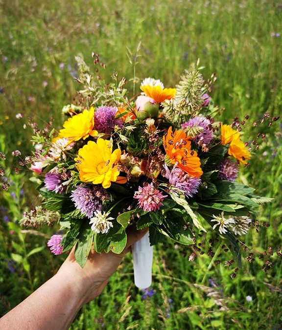 Ustvarjanje na poletnem vrtu