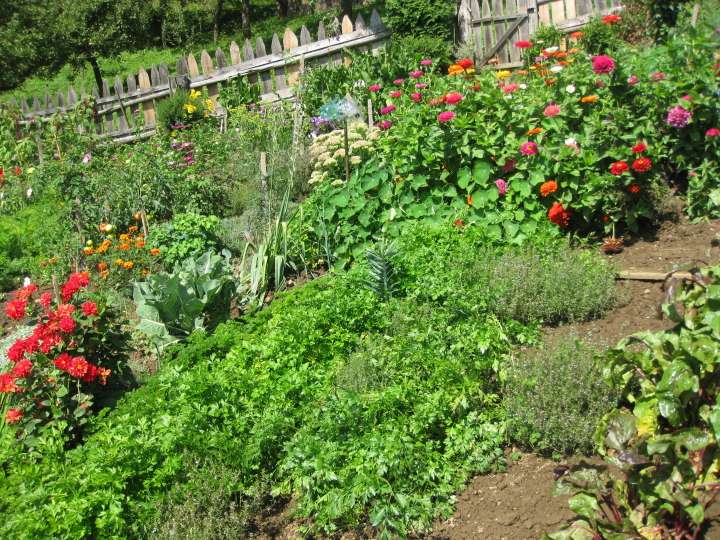 V naravi nismo sami …