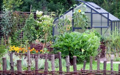 Zelišča za zdravje vrtička